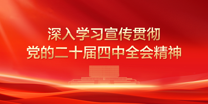 党的二十届四中全会精神